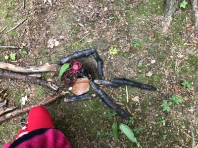 01A0B8FF 2BF1 4D11 A5AF 3C07700BD4EE