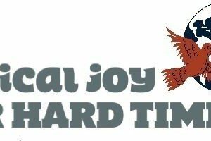 2012 RadJoyBird Logo