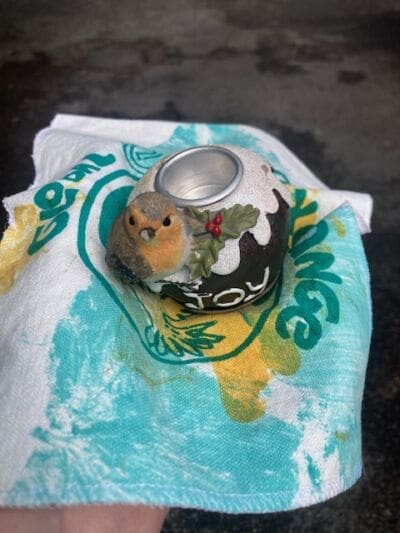 759BDD8E 091E 4F02 B489 5C735BAC4C70