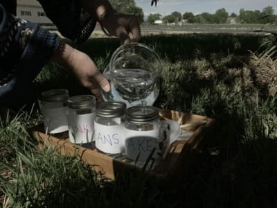 BEBB51BB D6B3 4F26 A45B D406B6126323.jpeg