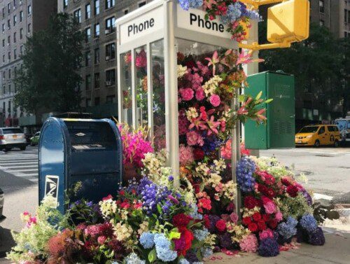 Flowers In Phone Booth