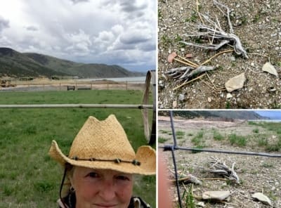 GlobalEarthExchange2021