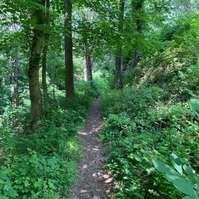 IMG 5169 Wpcf 400x400