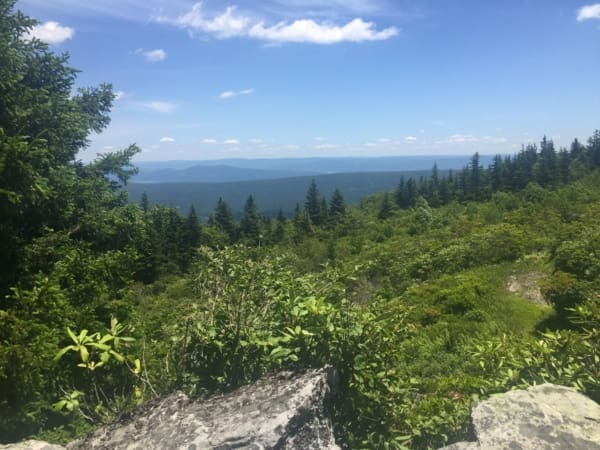 Keating 2019 View