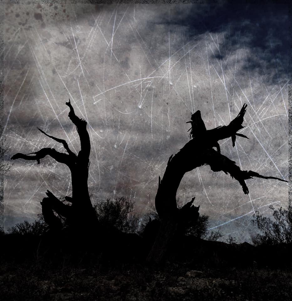 Mahoney Dancing Trees