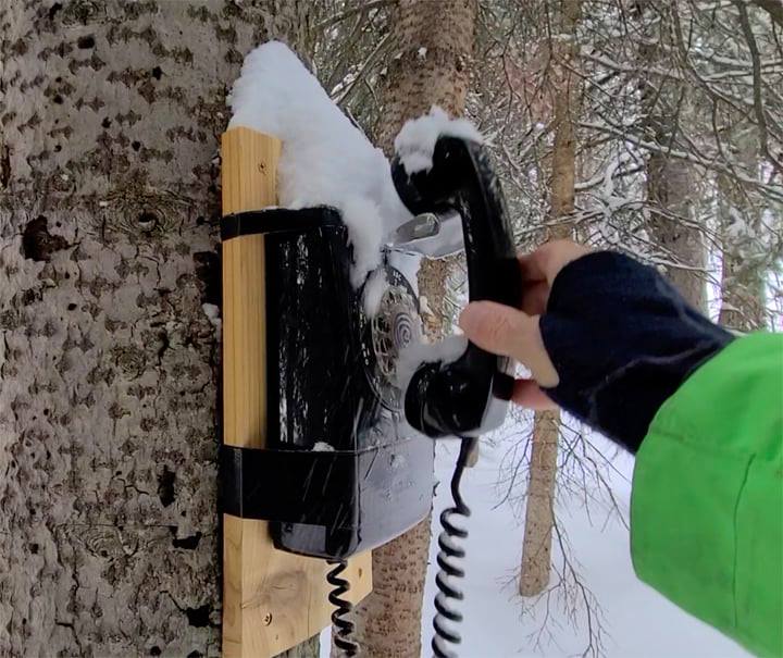 Phone Of The Winds CU