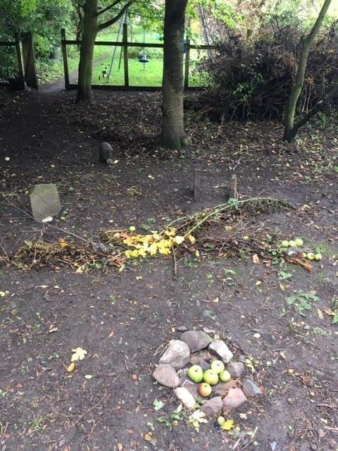 RadJoy Revealed Early Morning Earth Exchange