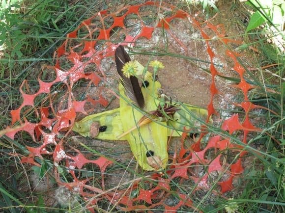 RadJoy Revealed From A Site Without Meaning To Sacred Ground