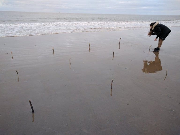 RadJoy Revealed Honoring The Creatures Who Are No More