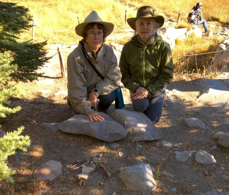 RadJoy Revealed Wings For A Spring... And A Man