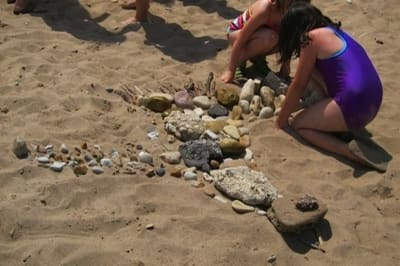 Radical Joy For Hard Times Stories FriedmannBIRD