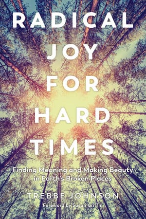 Radical Joy For Hard Times Stories RadJoy Book