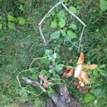 Radical Joy For Hard Times Stories Wadsworth