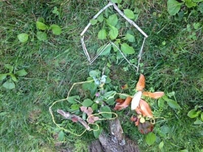 Radical Joy For Hard Times Stories Wadsworth