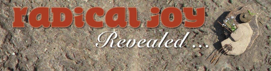 Radical Joy Revealed Banner Radical Joy Revealed Banner image