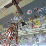 Staman Bats GEx 2010 Hi Res