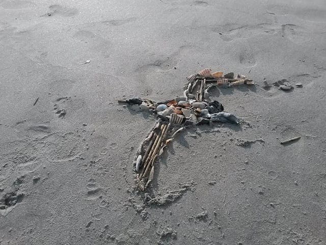 B50e799b 10d8 499e 8267 B601c43a394f