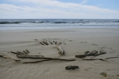 Fullsizeoutput 3a5a 1.jpeg