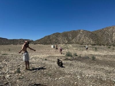 K WhatsApp Bild 2024 05 08 Um 21.16.36 B1ded0b7