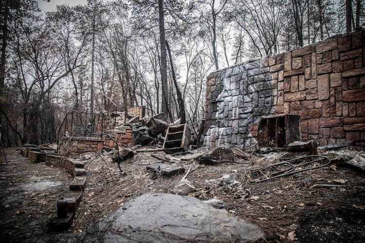 Shane Grammer Mural Artist 10